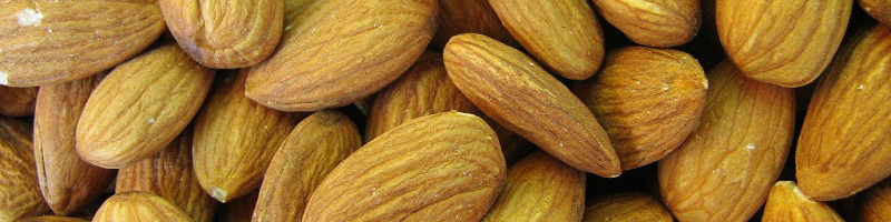 Almonds I Hazelnuts I Walnuts I Brazil Nuts I Dried fruit and Nuts